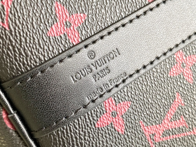 LV Travel Bags